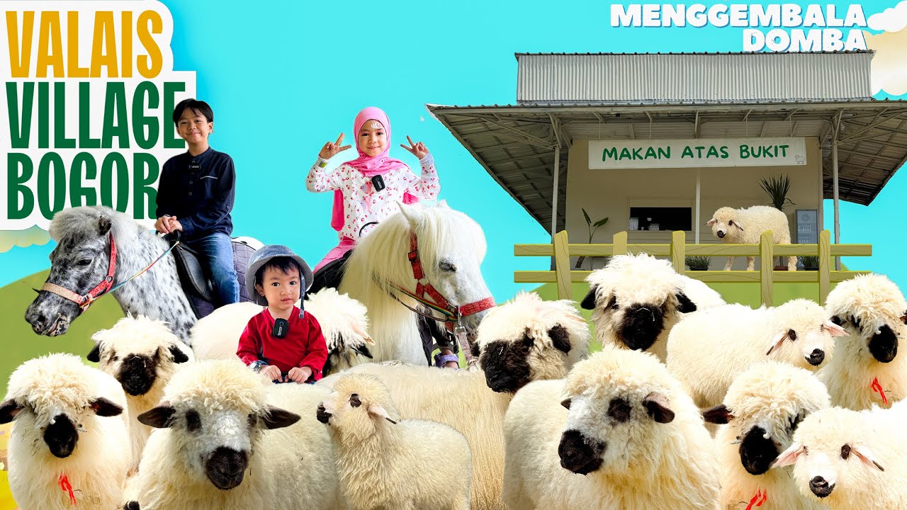 011 | 🐑 Liburan Seru di Valais Village Bukit Domba Bogor | Naik Kuda & Menggembala Domba Lucu! 🐴✨
