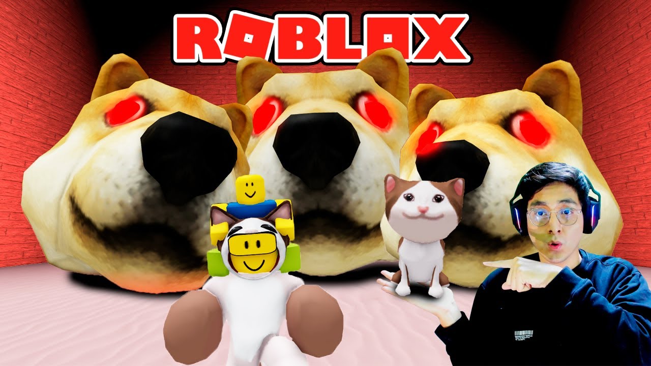 RESCATA A LOS BEBES POP CATS DE LAS CABEZAS GIGANTES DE DOGE | Doge Head Escape | JehxTp