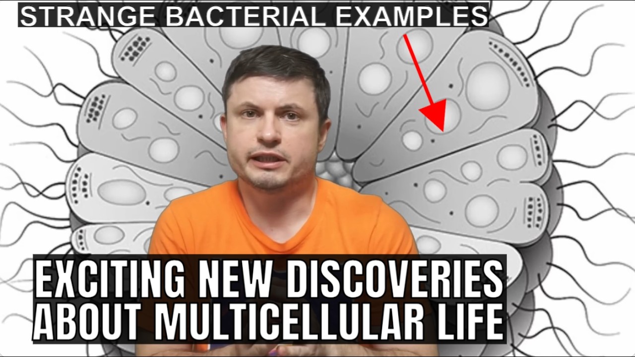 Experiment Reveals Why Life Became Multicellular and It's Quite Surprising