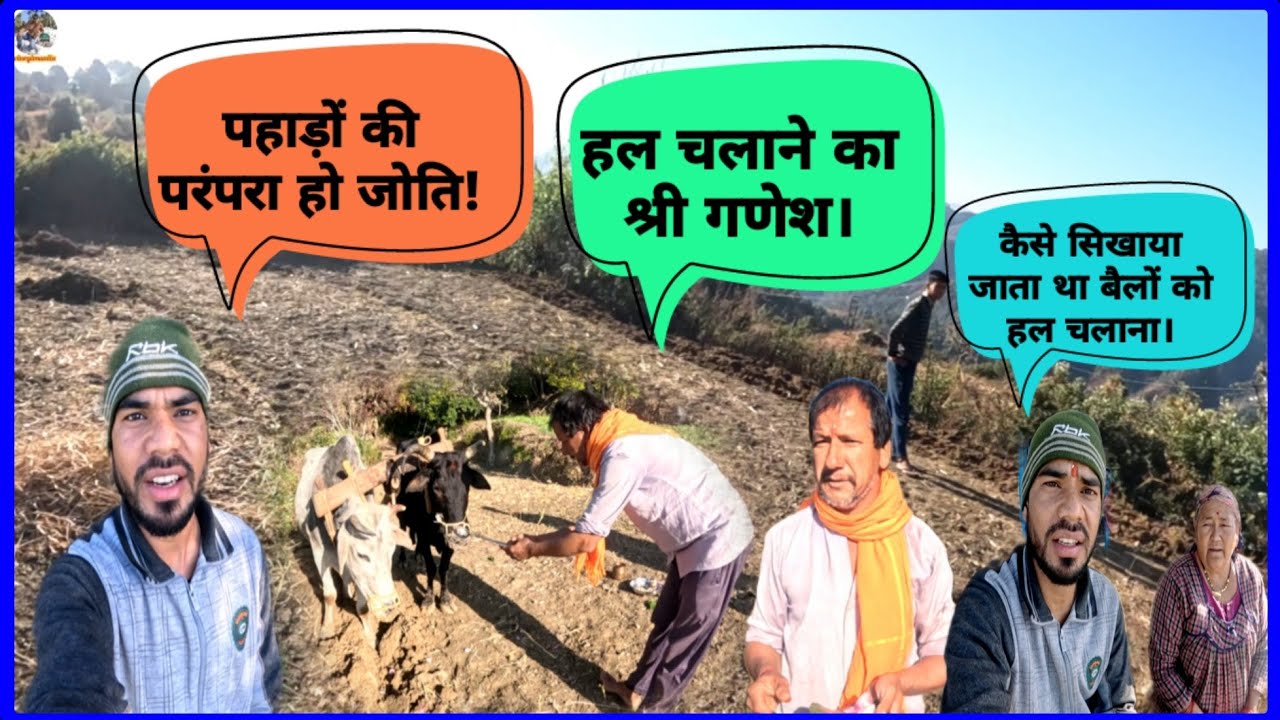 पहाड़ों में ऐसे की हो जोति! पहाड़ों में हल चलाने की शुरुआत कैसे की जाती है।