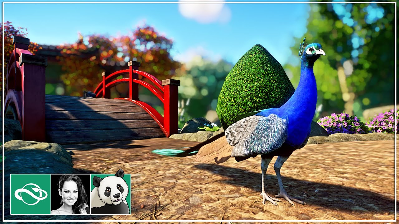 I Built a Stunning Peafowl Walkthrough Habitat in Planet Zoo