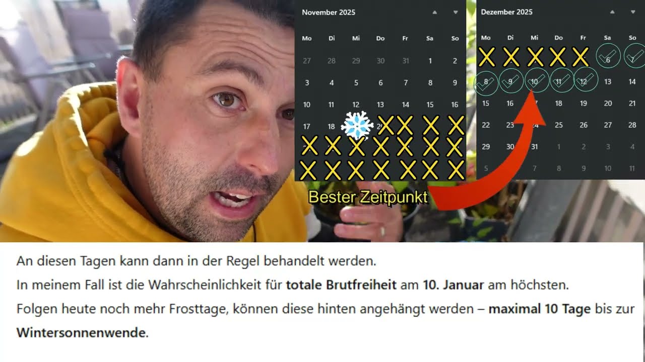 Varroa-Winterbehandlung &ndash; Insiderwissen: der kleine Trick zum Erfolg