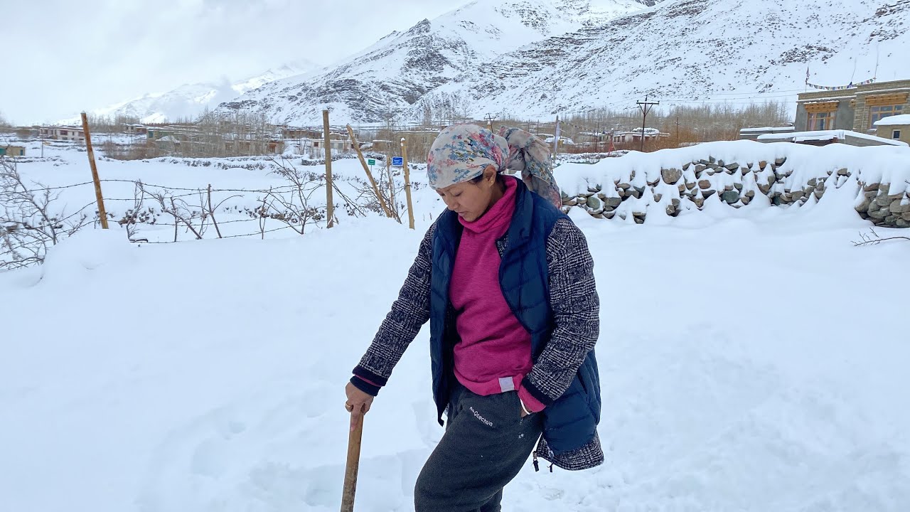 Experiencing winter in zanskar 24-25/01/2023 😍🌨🌨🌨🌨 #ladakh #winter #zanskar #love #mom ❄️