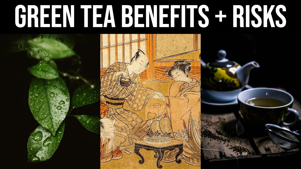 Drink Green Tea for Longevity and Focus - Bioactives, Health Benefits, and Risks