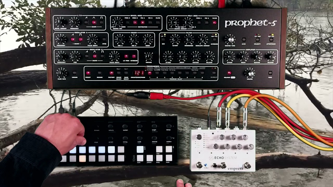 Sequential Prophet 5 Desktop, Torso Electronics T-1 & Empress Effects Echosystem
