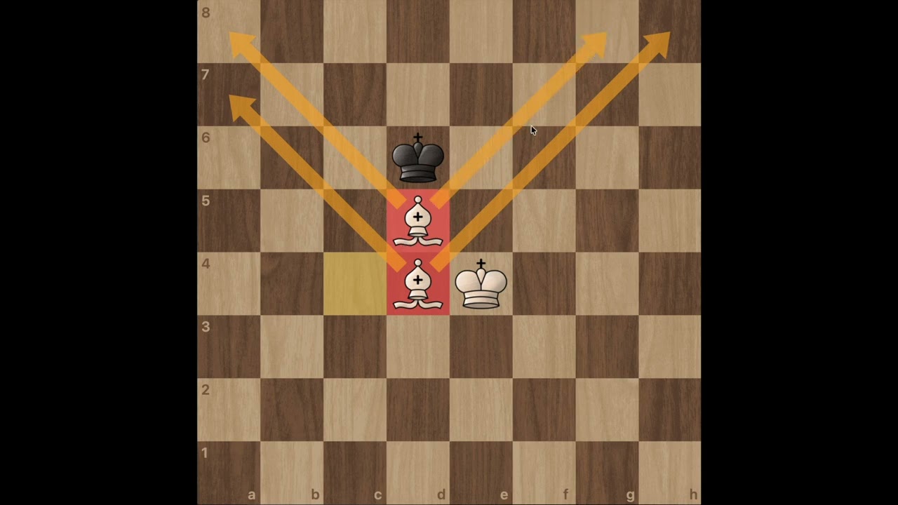 Çift Fil Matı | Two Bishops Mate