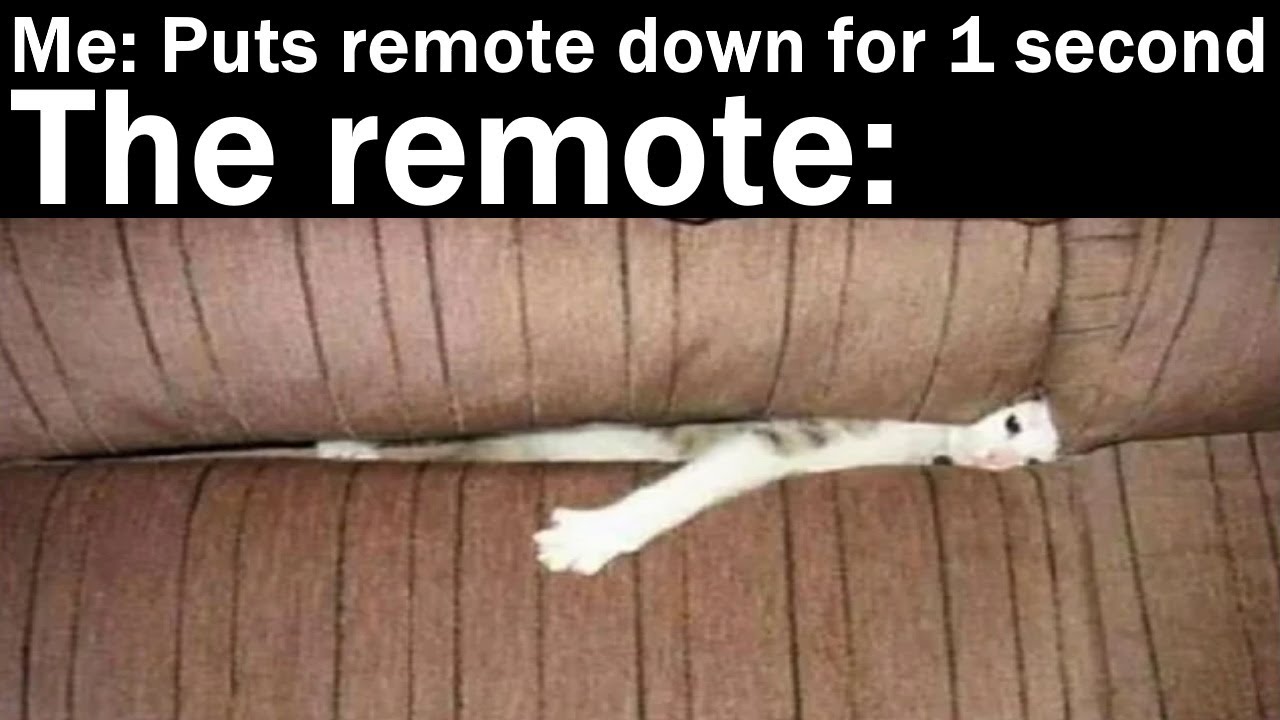 Мемы, которые было трудно найти || Nightly Juicy Memes #86