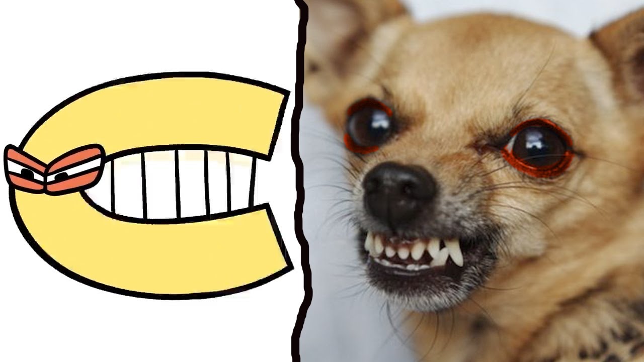 REAL LIFE VS ORIGINAL | Alphabet Lore in MEMES Z-A
