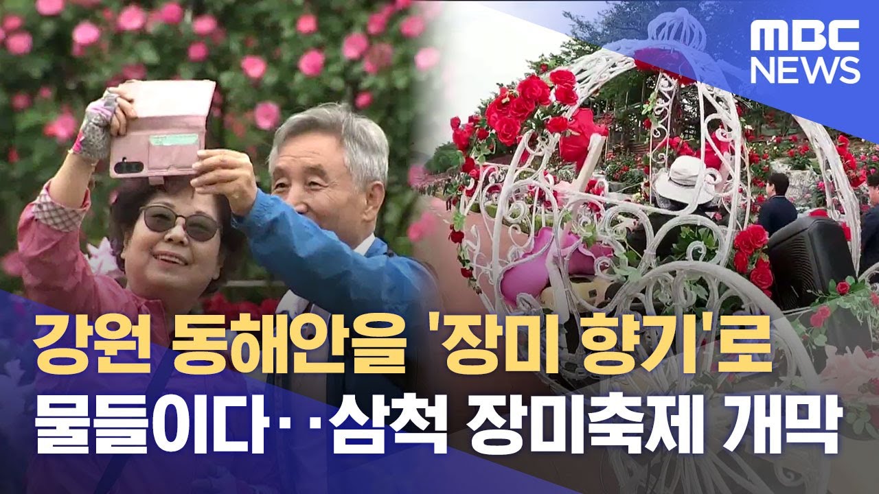강원 동해안을 '장미 향기'로 물들이다.. 삼척 장미축제 개막 (2025.05.23/뉴스데스크/MBC강원영동)