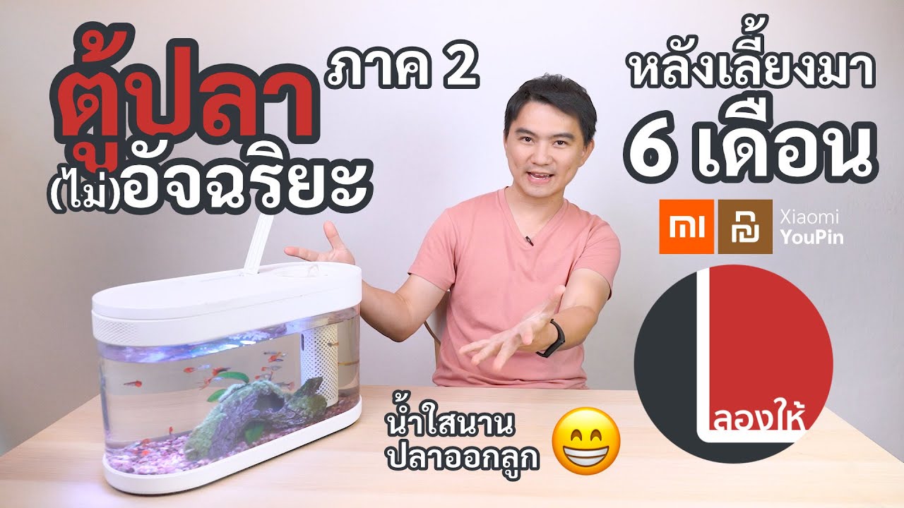 ลองให้ | ตู้ปลา Xiaomi ภาค 2 เล่าให้ฟังอีกรอบหลังเลี้ยงมา 6 เดือน ฉลาดขึ้นเยอะ (คนนะไม่ใช่ตู้)
