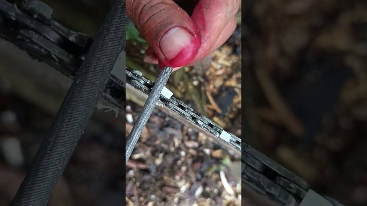 Asah rantai untuk belah kayu
