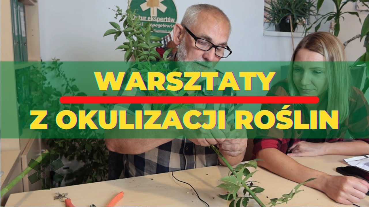 Warsztaty z okulizacji roslin