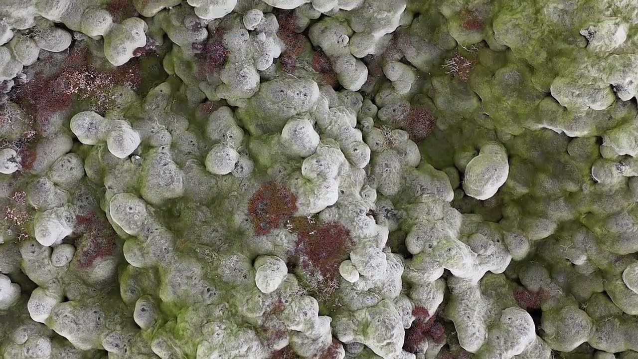 Iceland 2025 - Lava Moss Fields and Gorge