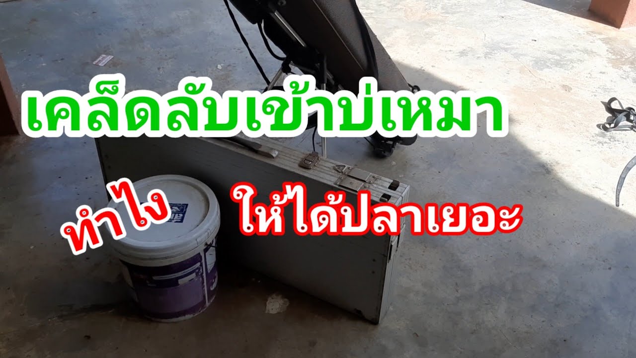 EP. 39  เคล็ดลับตกบ่อเหมาให้มีโอกาสได้ปลาเยอะ  มือใหม่ต้องดู