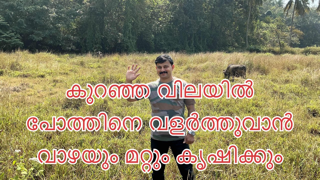 #NP1025# കുറഞ്ഞ വിലക്ക് കൂടുതൽ സ്ഥലം # സെന്റിന് വെറും പതിനായിരം മാത്രം# low price land for sale#@