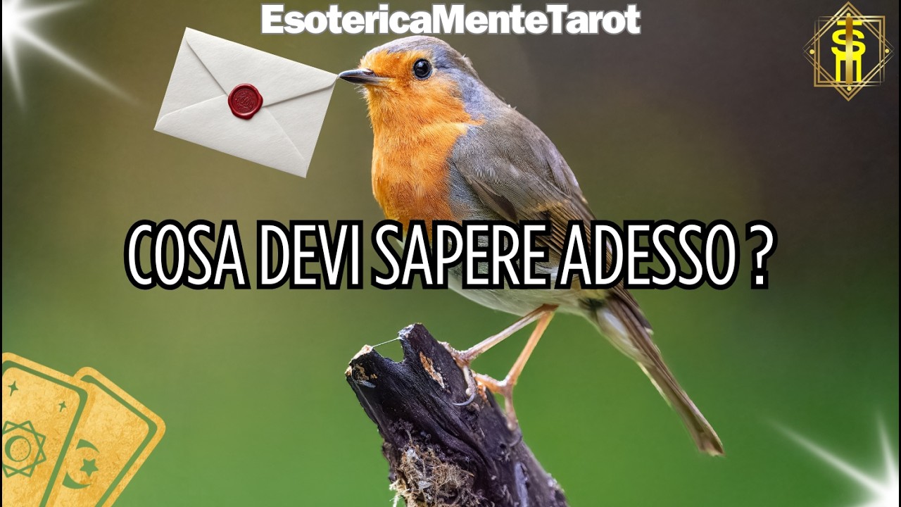 Cosa devi sapere adesso? #tarocchi #tarocchiinterattivi #messaggioperte