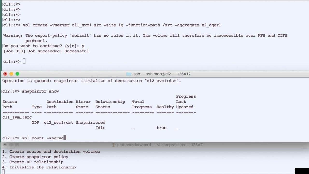 NetApp ONTAP DataProtection with SnapMirror 2
