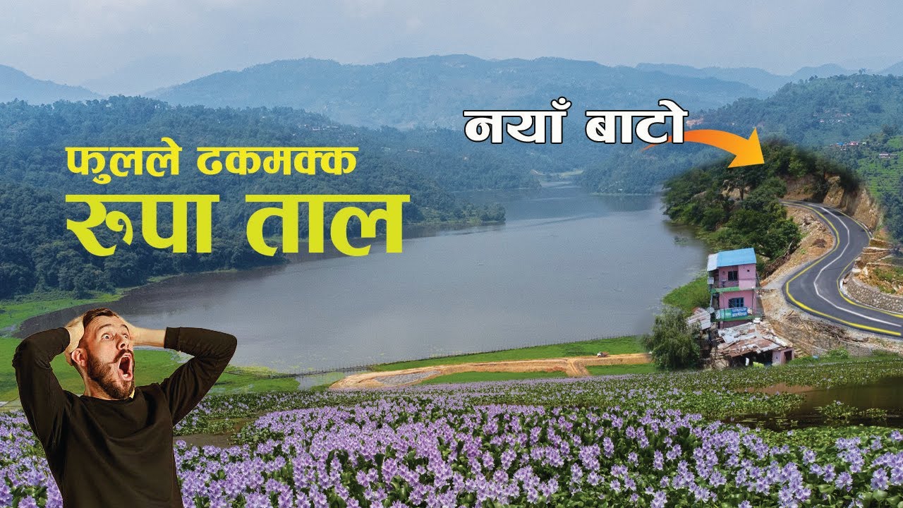 रुपा तालकाे छेउमा नयाँ पिच बाटाे  //  Rupa Lake //