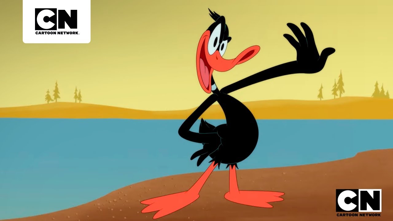 UN PÁJARO MUY BOBO | LOONEY TUNES CARTOONS | CARTOON NETWORK