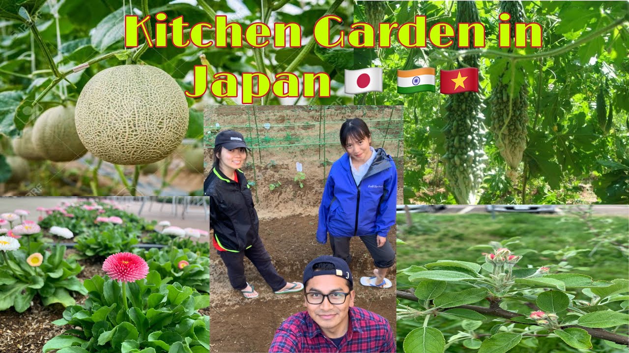 JAPAN | Our Kitchen Garden (Engkhol Macha) #BoboJPN (ENG SUB) Part - 1