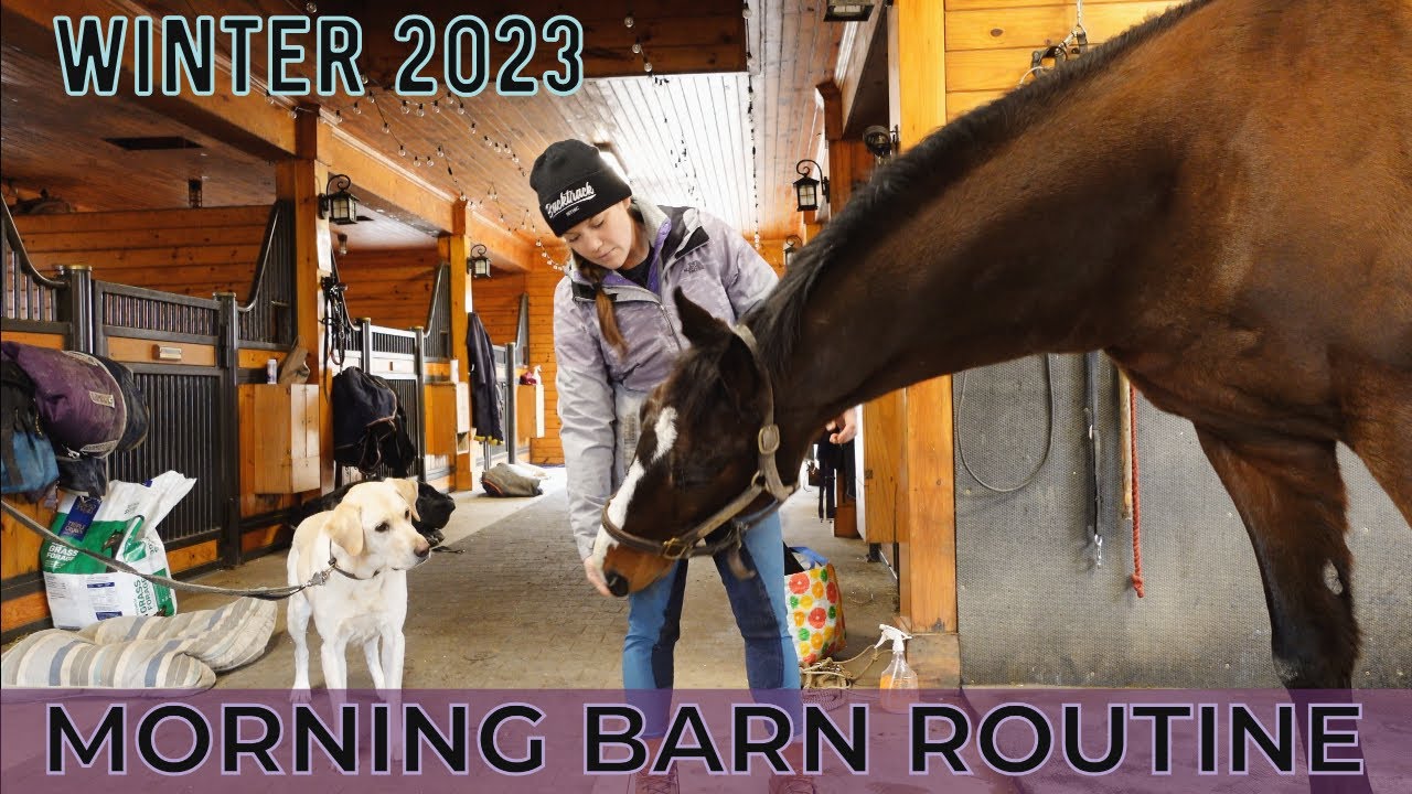 Morning Barn Routine & Feeding the Horses • WINTER 2023 | Rainy Day on the Farm // EQUESTRIAN VLOG