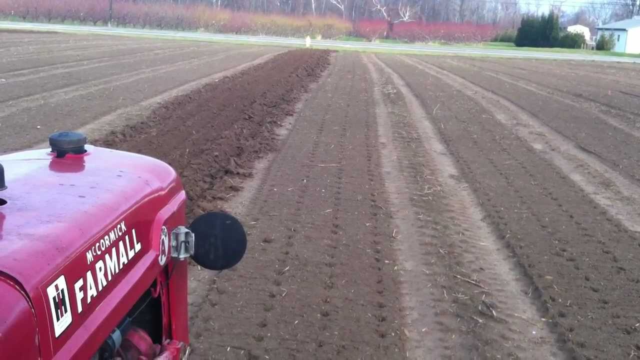 Covering the garlic 2012