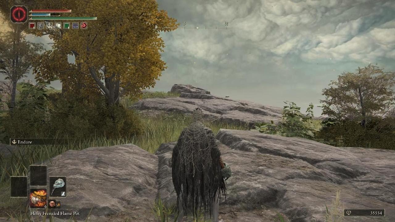 ELDEN RING Rune level 1 madness invasions