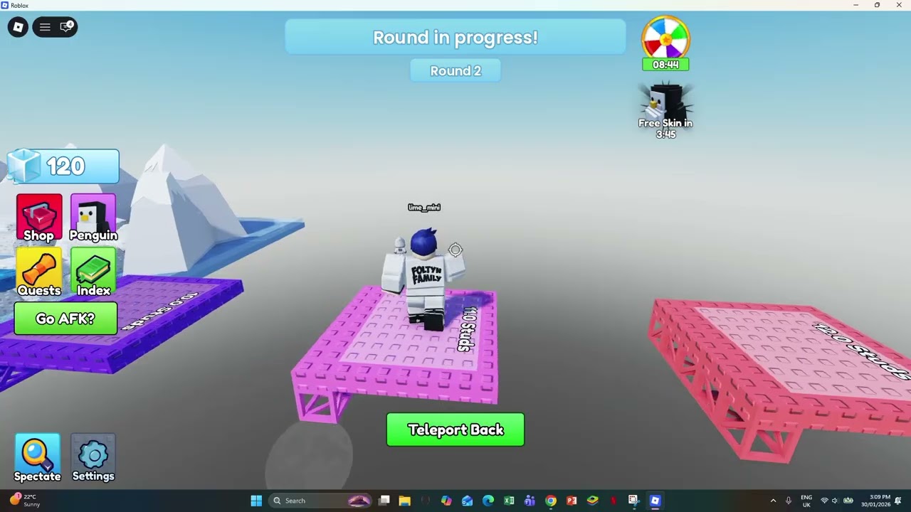 playing penguin nockout