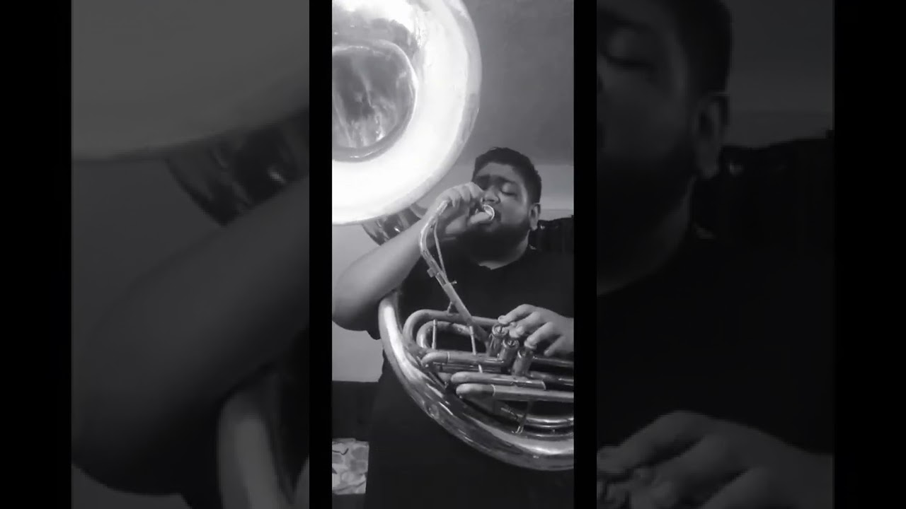 Teen Town, but on Tuba #Tuba #Bass #Funk #Jacopastorious #Music #Practice #Shorts #Basslines #groove