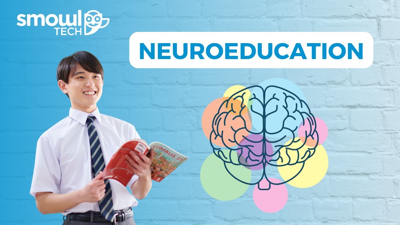 Neuroeducation Explained: The Science Behind How We Learn | Smowltech