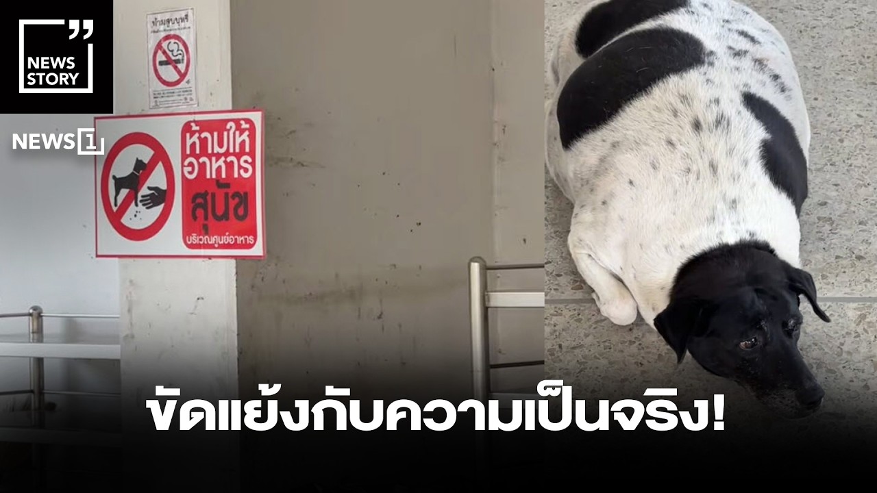 ขัดแย้งกับความเป็นจริง! : [News Story]