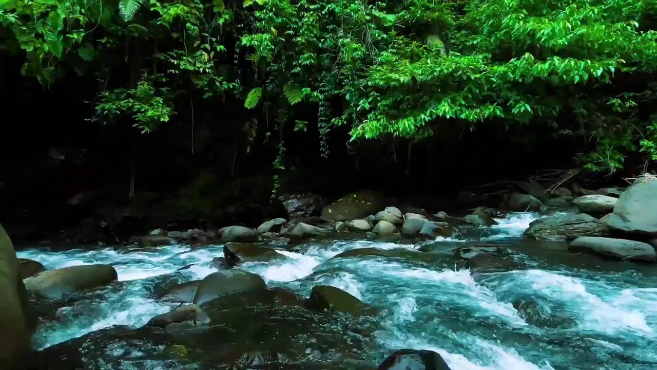 Dark Jungle River Flow &ndash; Deep Sleep Nature Sound with Rushing Water Sound