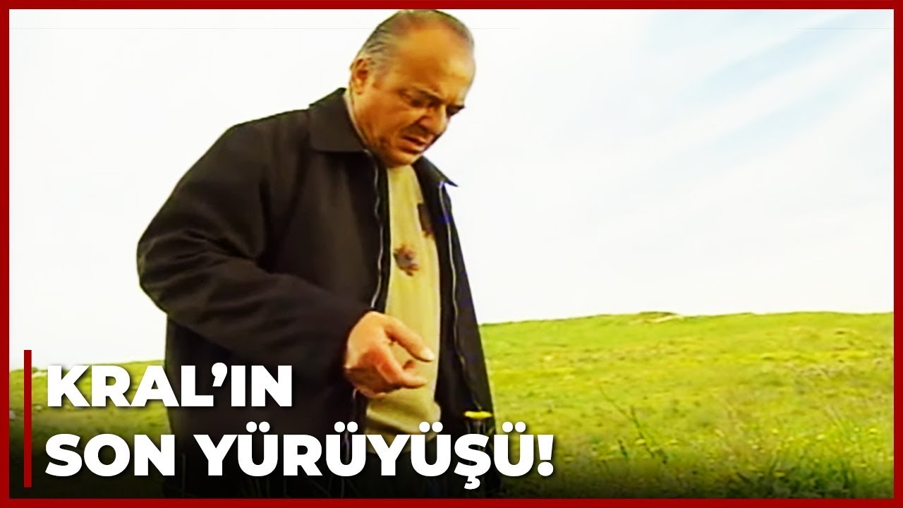 Memoli, Kral'ı VURDU! | Yılan Hikayesi 88. Bölüm