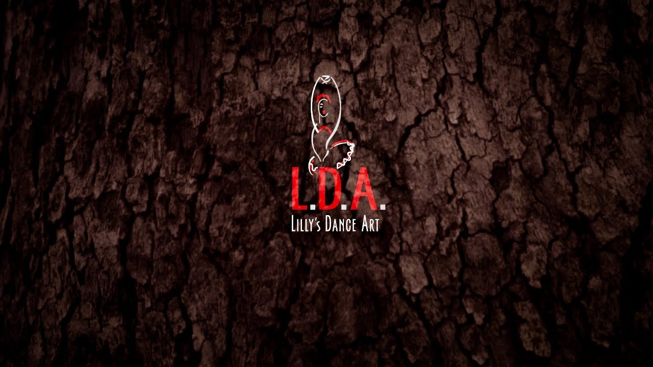 LDA lilly's dance art,dance studio-dance clip