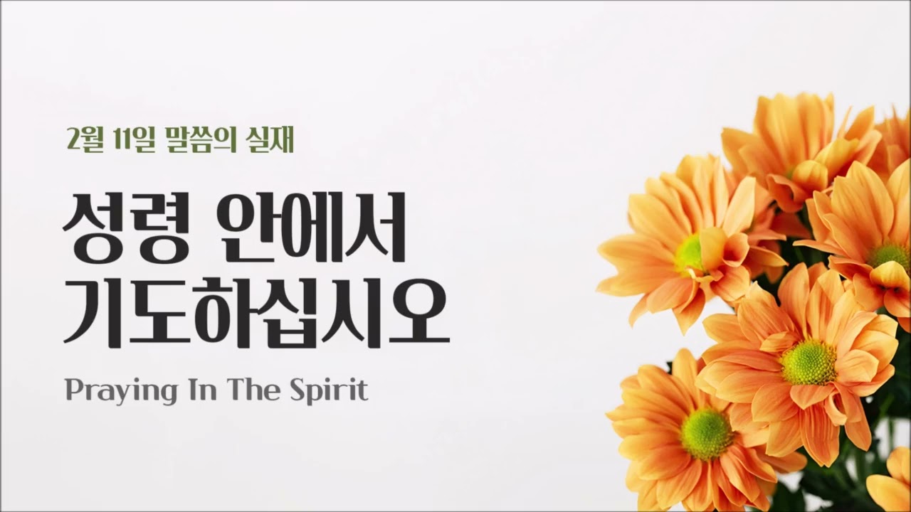 은혜의빛 | 260211 성령 안에서 기도하십시오 #말씀의실재 Rhapsody of Realities Korean