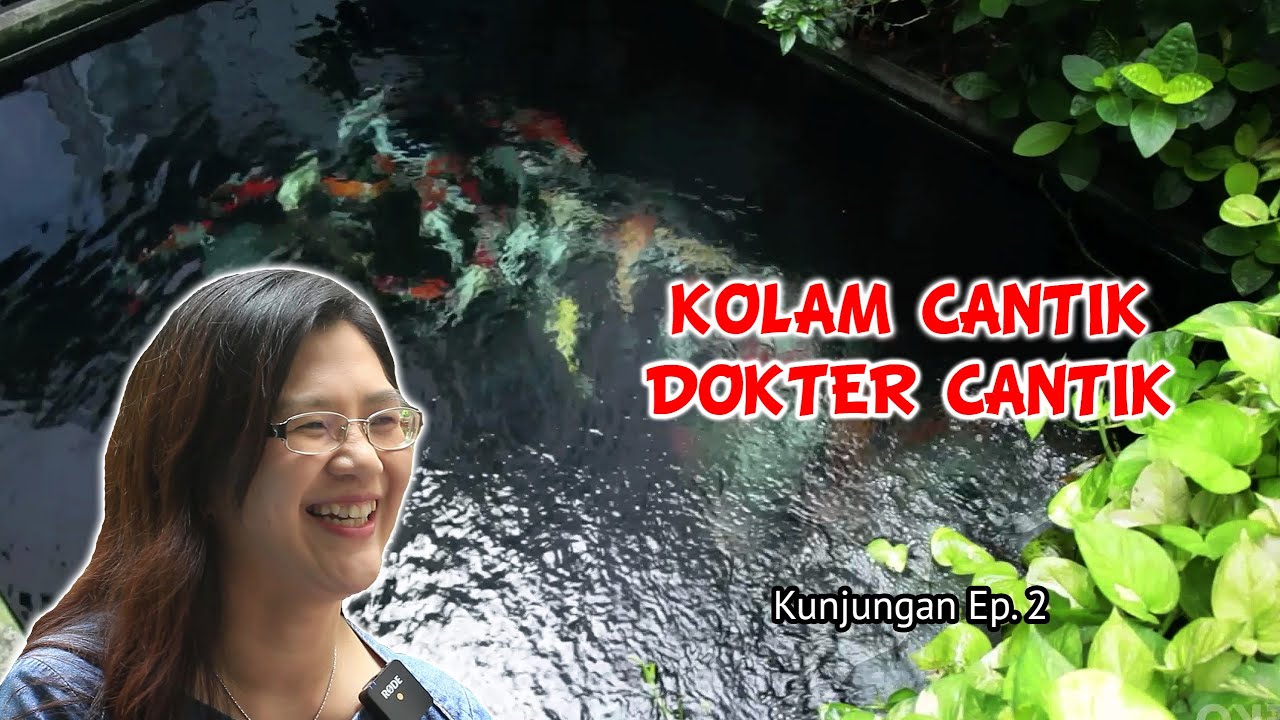 KOLAM CANTIK DOKTER CANTIK | Kolam Koi dr. Silfy Welly Sp.A. | Kunjungan (2)