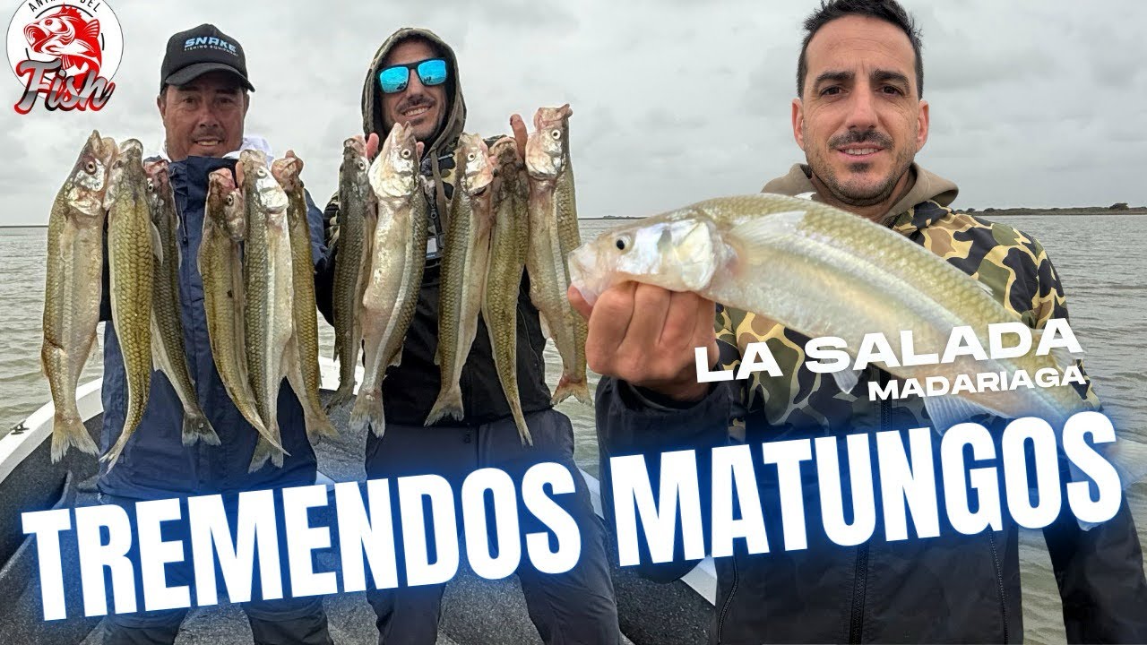 TREMENDOS MATUNGOS EN LA SALADA PEJERREYES GIGANTES | GIANT PEJERREY FISHING