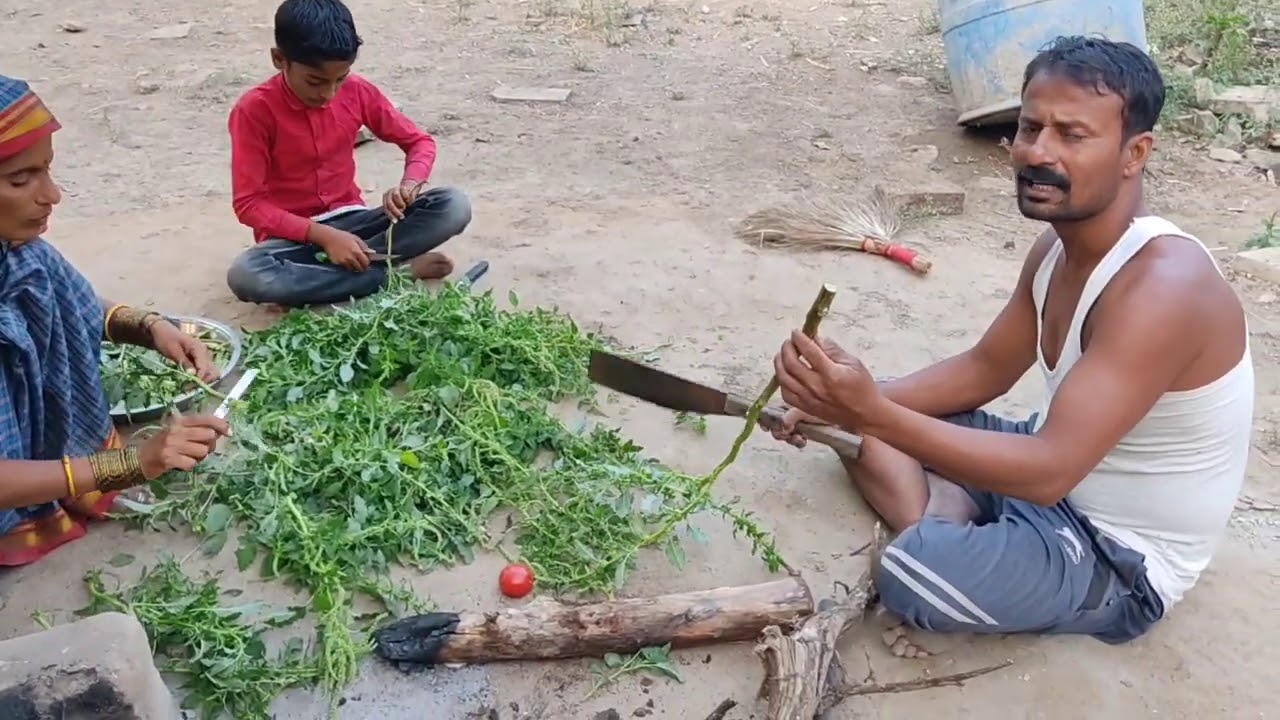 काठ माठाची भाजी, व तिचे आयुर्वेदिक महत्व, gavakadchi vat
