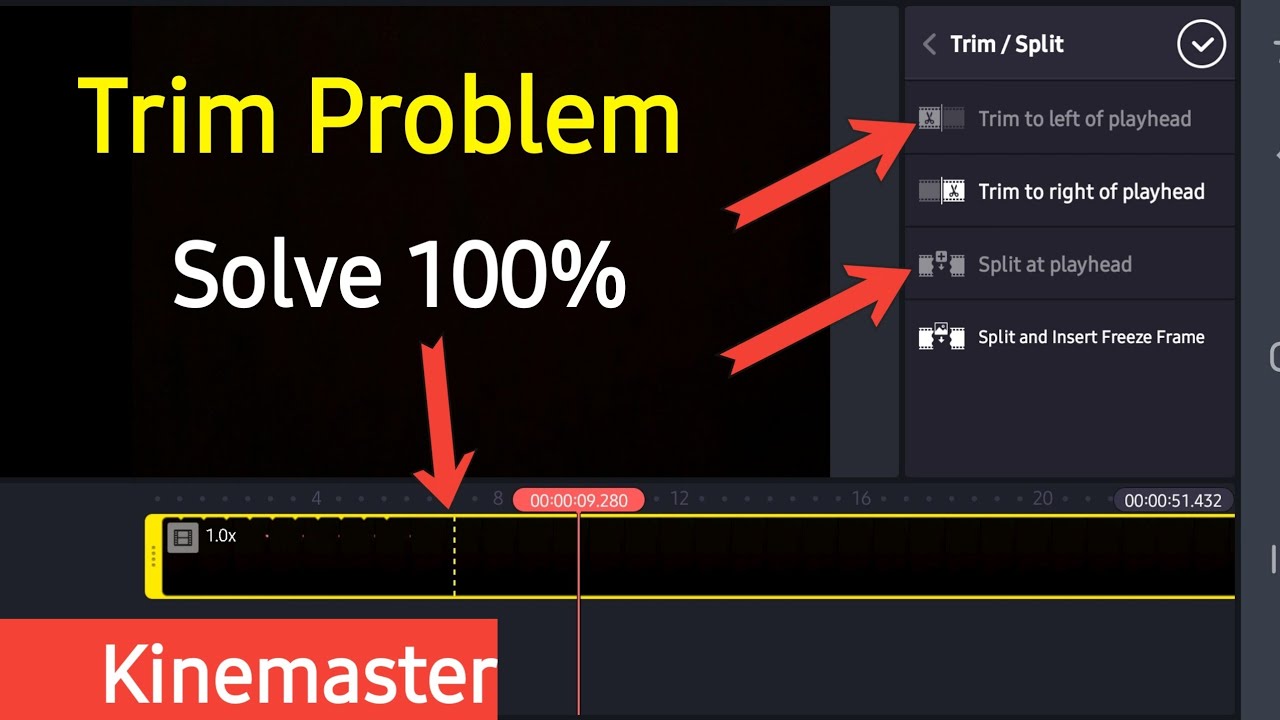 Kinemaster Trim Split Problem | kinemaster video cutting problem