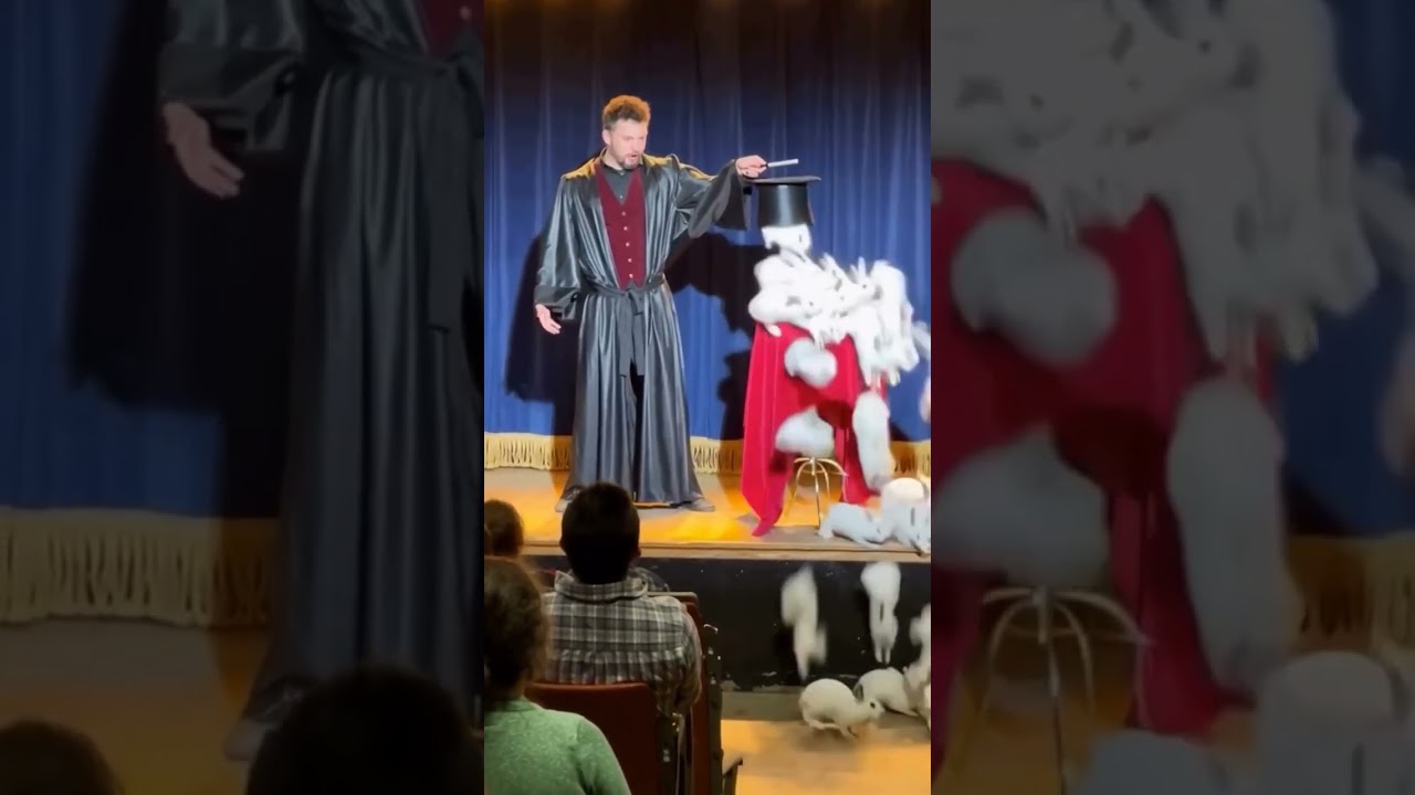 Magic show 😱😱😱 #magic #rabbit
