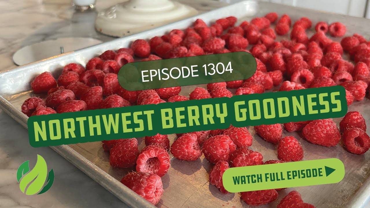 Northwest Berry Goodness I Season 13 Episode 4 I Washington Grown