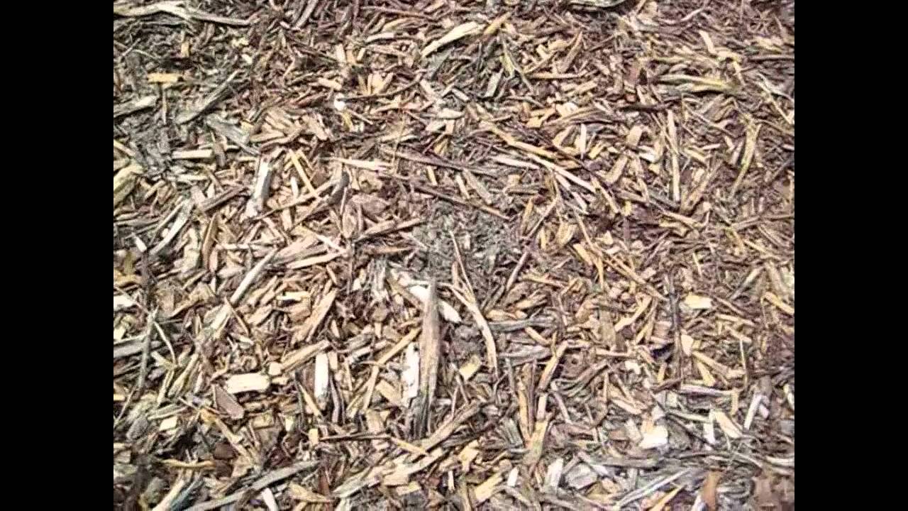 How fast do Woodchips Decompose ?