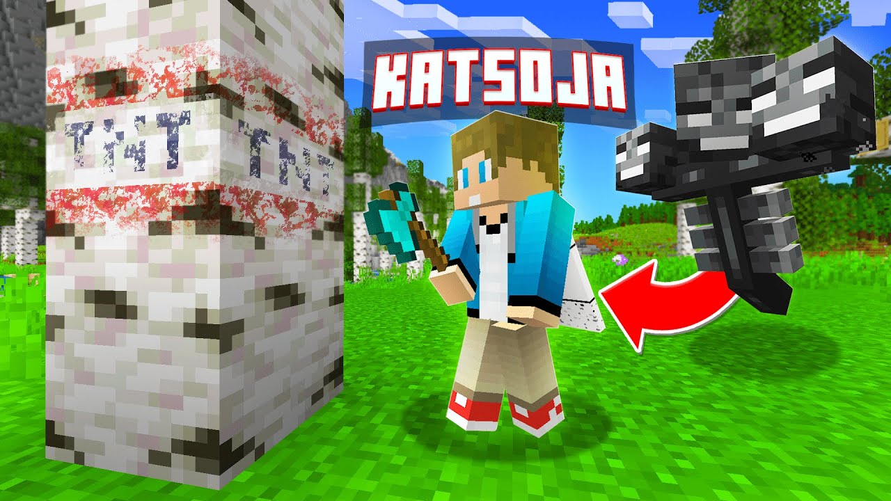 TROLLASIN KATSOJIA MINECRAFTISSA?! #2