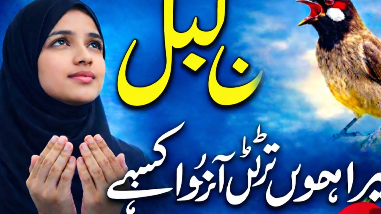 Bulbul Bayan | Tera Hoon Tadpoon Kaise | Emotional Islamic Bayan 2026