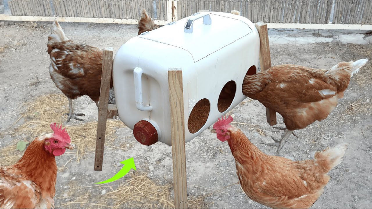 Comedero para Gallinas Fácil de hacer/ con un bidón 25L