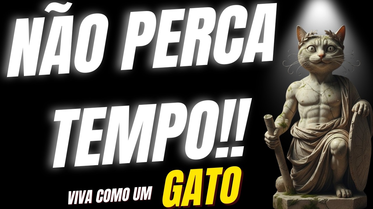 SEU TEMPO ESTÁ ACABANDO,  entenda AGORA com mudar isso com a ajuda do seu Gato.