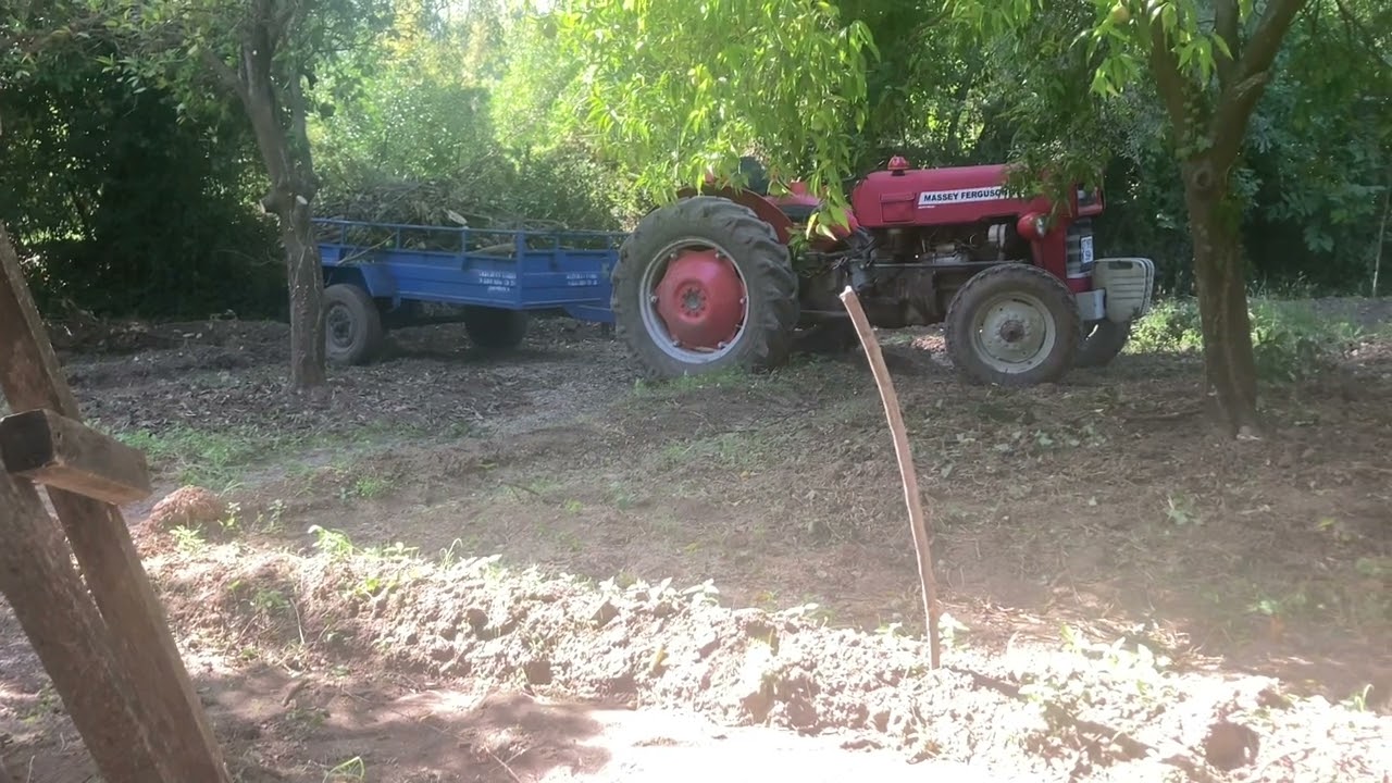 Massey Ferguson 135 (MF 135) almak istiyenler hi&ccedil; d&uuml;ş&uuml;nmesin ALSIN! #masseyferguson #mf135