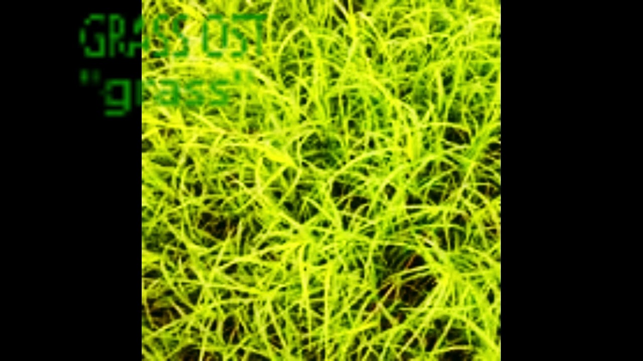 REDIVIVUS OST - grass