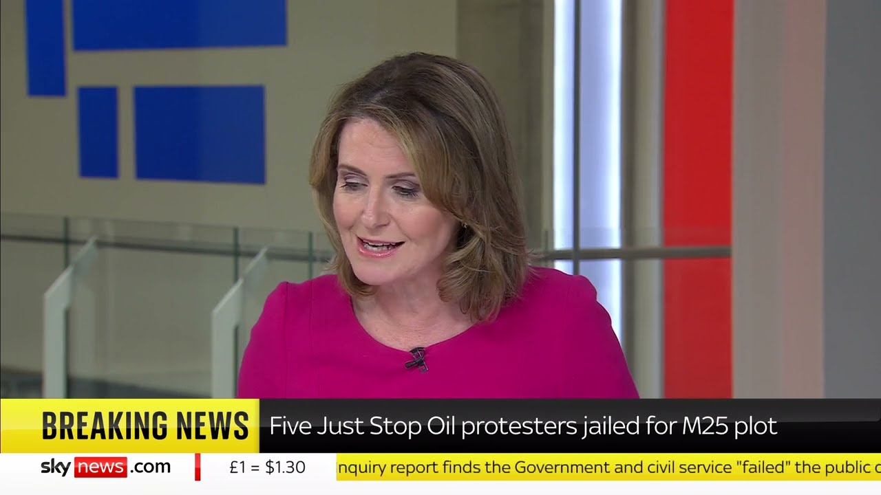 Evan Hall - Just Stop Oil M25 Jail Sentences