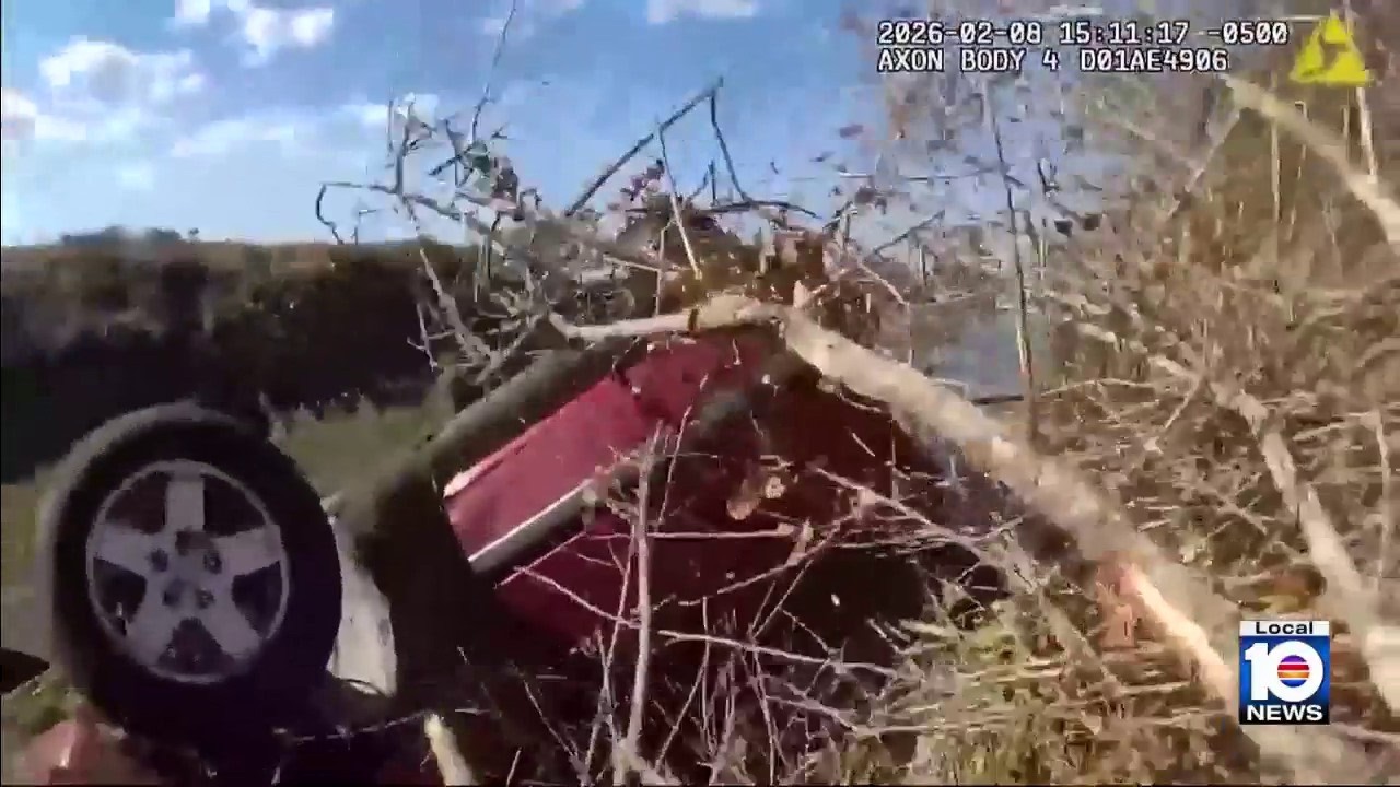 Florida mother thankful to man who saved her and her kids from canal